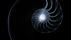 Light abstract spiral