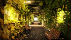 Light alley natural lighting