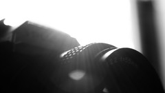 Light Cameras artistic