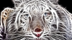 Light close-up eyes white