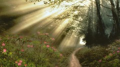 Light Earth ascension