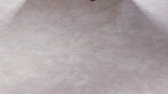 Light Education Books volume jackets learning