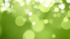 Light Green sunlight