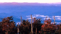 Light morning great smoky mountains north carolina