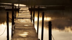 Light morning Oregon