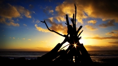 Light My fire nature