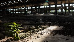 Light Plants buildings