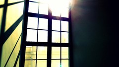 Light shadows window panes