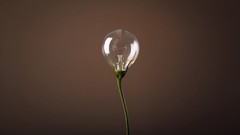 Lightbulb brown background minimalistic photosynthesis