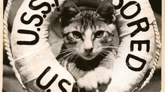 Lighter marine cape The side mascot gloucester