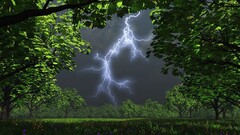 Lightning nature Trees