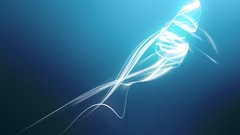 Lights abstract fish