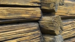 Lights abstract Wood multicolor