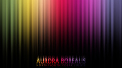 Lights Aurora south north polar borealis