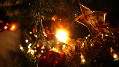 Lights Christmas Christmas trees