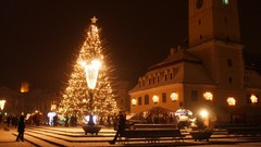 Lights Christmas Christmas trees