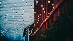 Lights evening urban