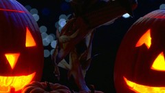 Lights Halloween Samhain