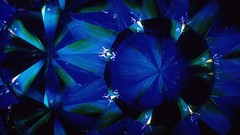 Lights multicolor reflections