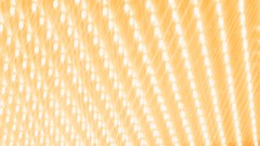 Lights multicolor reflections