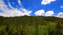 Like Landscapes nature forest