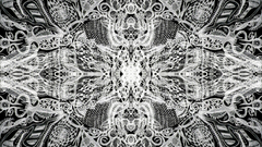 Like The Concept but