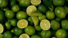 Limes