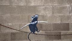 Line fine walking high funambulist banksy Resolution