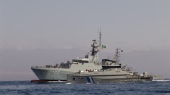 Line light military Navy Amazonas