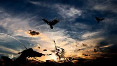 Line sky Birds silhouettes