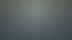 Lines The grey heard loves kogalani