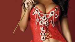 Lingerie brunettes legs boobs