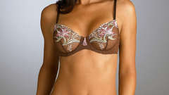 Lingerie brunettes woman panties