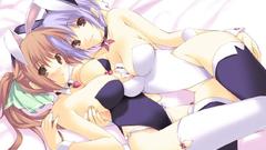 Lingerie Dead Or Alive