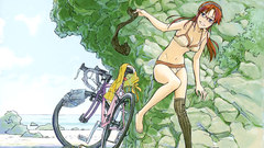 Lingerie neon genesis evangelion