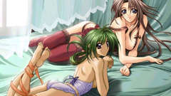 Lingerie panties stockings corset