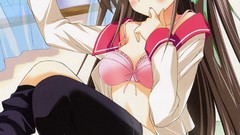 Lingerie school uniforms Dengeki