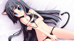 Lingerie tails k -