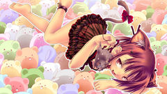 Lingerie tails nekomimi animal