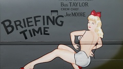Lingerie woman Aircraft artwork