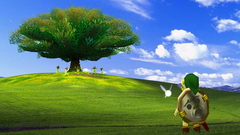 Link windows xp the