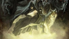 Link zelda Swords Wolves