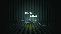 Linux Bodhi Linux