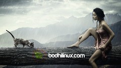 Linux Bodhi Linux