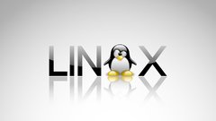 Linux computer