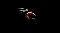 Linux dark Kali Linux