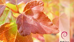 Linux debian GNU/Linux