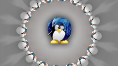 Linux firefox Thunderbird
