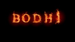 Linux flames Bodhi Linux