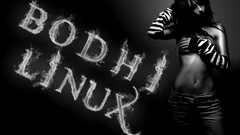 Linux flames grey Bodhi Linux